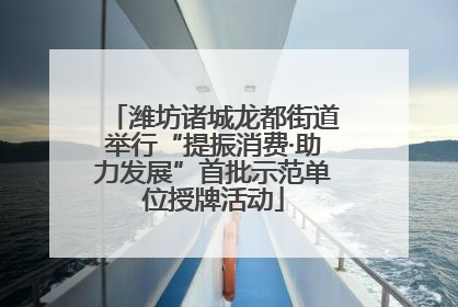 潍坊诸城龙都街道举行“提振消费·助力发展”首批示范单位授牌活动