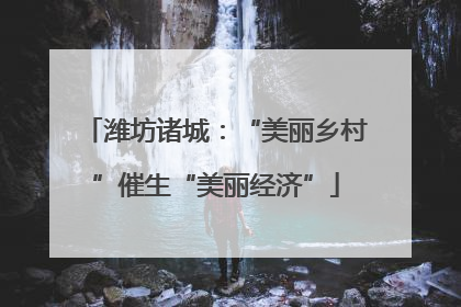 潍坊诸城：“美丽乡村”催生“美丽经济”
