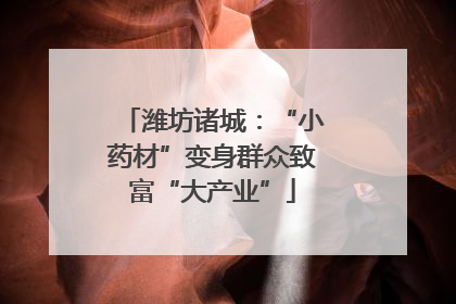 潍坊诸城：“小药材”变身群众致富“大产业”