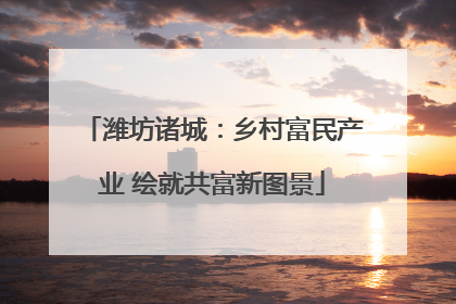 潍坊诸城：乡村富民产业 绘就共富新图景
