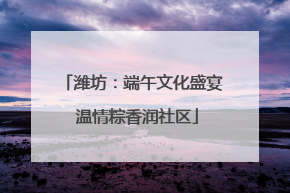 潍坊：端午文化盛宴 温情粽香润社区