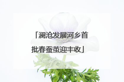 澜沧发展河乡首批春蚕茧迎丰收
