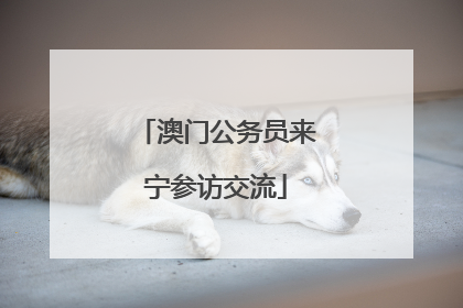 澳门公务员来宁参访交流