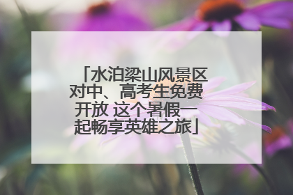 水泊梁山风景区对中、高考生免费开放 这个暑假一起畅享英雄之旅