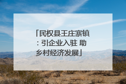 民权县王庄寨镇：引企业入驻 助乡村经济发展