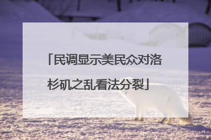 民调显示美民众对洛杉矶之乱看法分裂