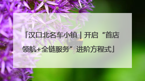 汉口北名车小镇｜开启“首店领航+全链服务”进阶方程式