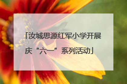 汝城思源红军小学开展庆“六一”系列活动