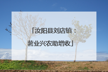 汝阳县刘店镇：薯业兴农助增收