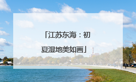 江苏东海：初夏湿地美如画