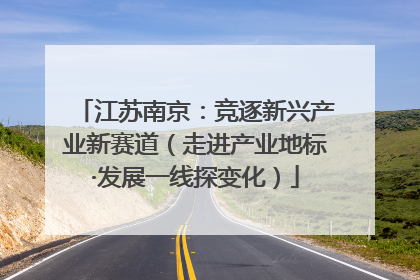 江苏南京：竞逐新兴产业新赛道（走进产业地标·发展一线探变化）