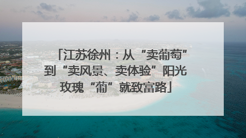 江苏徐州：从“卖葡萄”到“卖风景、卖体验”阳光玫瑰“葡”就致富路
