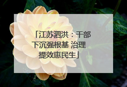 江苏泗洪：干部下沉强根基 治理提效惠民生