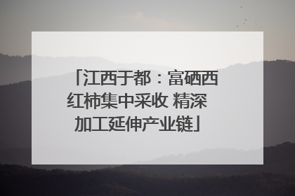 江西于都：富硒西红柿集中采收 精深加工延伸产业链