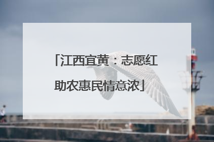 江西宜黄：志愿红助农惠民情意浓