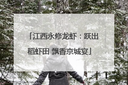 江西永修龙虾：跃出稻虾田 飘香京城宴