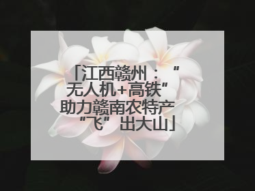 江西赣州：“无人机+高铁”助力赣南农特产“飞”出大山