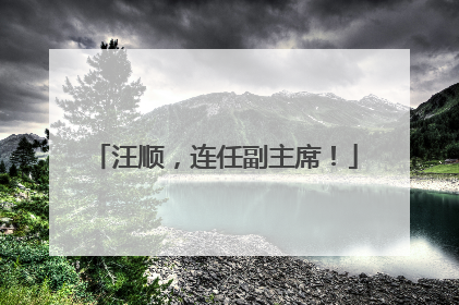 汪顺，连任副主席！