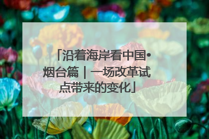 沿着海岸看中国•烟台篇｜一场改革试点带来的变化