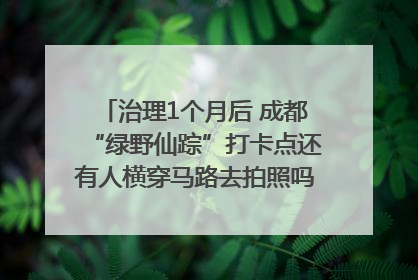 治理1个月后 成都“绿野仙踪”打卡点还有人横穿马路去拍照吗？｜民情瞭望