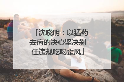 沈晓明：以猛药去疴的决心坚决刹住违规吃喝歪风