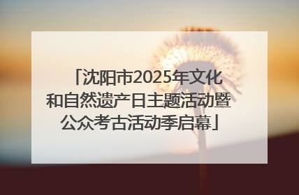 沈阳市2025年文化和自然遗产日主题活动暨公众考古活动季启幕