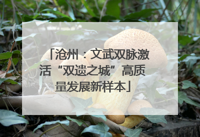 沧州：文武双脉激活“双遗之城”高质量发展新样本