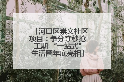 河口区崇文社区项目：争分夺秒抢工期 “一站式”生活圈年底亮相
