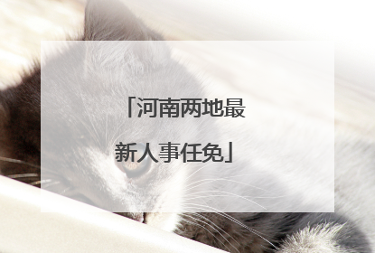 河南两地最新人事任免