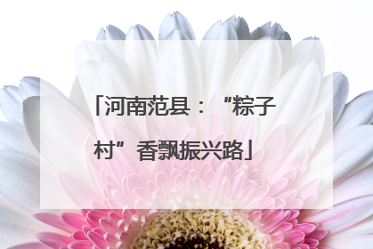 河南范县：“粽子村”香飘振兴路