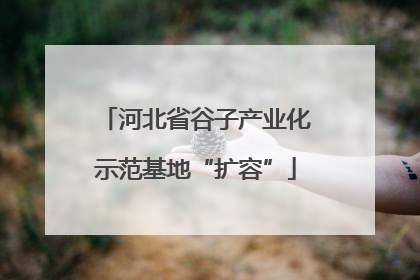 河北省谷子产业化示范基地“扩容”