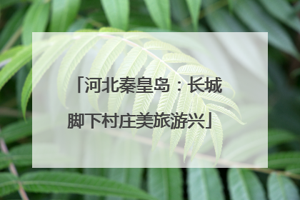 河北秦皇岛：长城脚下村庄美旅游兴