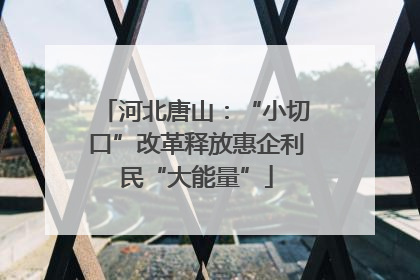 河北唐山：“小切口”改革释放惠企利民“大能量”