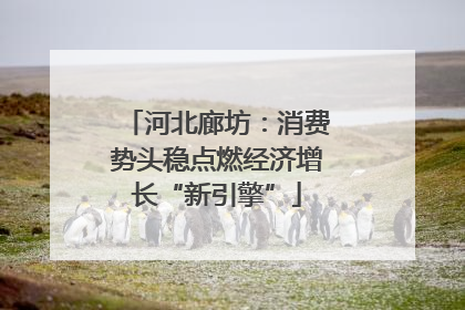 河北廊坊：消费势头稳点燃经济增长“新引擎”