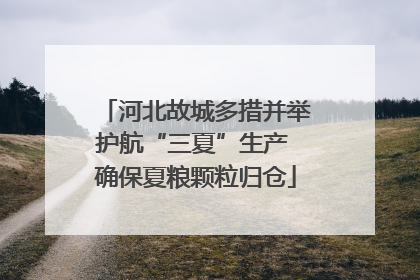 河北故城多措并举护航“三夏”生产 确保夏粮颗粒归仓