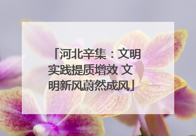 河北辛集：文明实践提质增效 文明新风蔚然成风