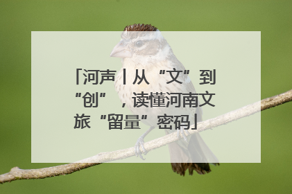 河声丨从“文”到“创”，读懂河南文旅“留量”密码