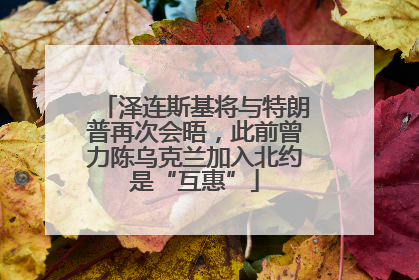 泽连斯基将与特朗普再次会晤，此前曾力陈乌克兰加入北约是“互惠”