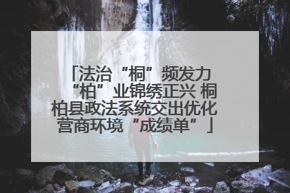 法治“桐”频发力 “柏”业锦绣正兴 桐柏县政法系统交出优化营商环境“成绩单”
