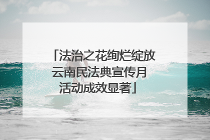 法治之花绚烂绽放 云南民法典宣传月活动成效显著