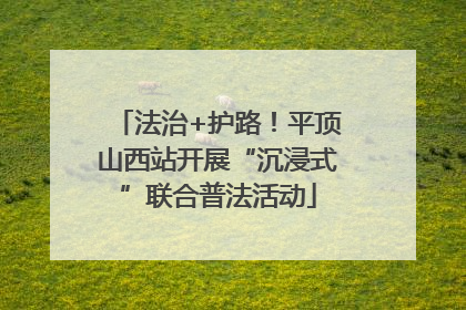 法治+护路！平顶山西站开展“沉浸式”联合普法活动