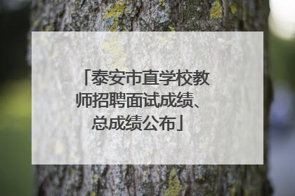 泰安市直学校教师招聘面试成绩、总成绩公布