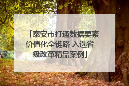 泰安市打通数据要素价值化全链路 入选省级改革精品案例