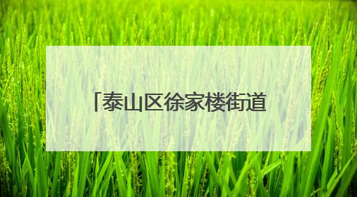 泰山区徐家楼街道社区卫生服务中心开展5.31世界无烟日科普讲座