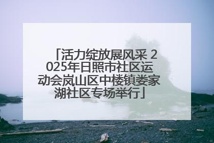 活力绽放展风采 2025年日照市社区运动会岚山区中楼镇娄家湖社区专场举行