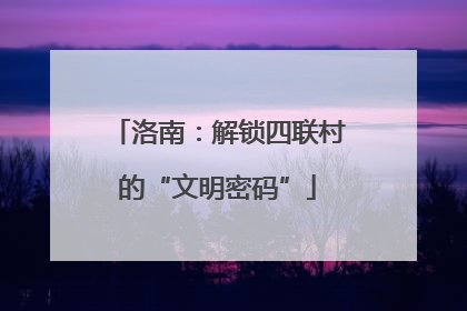 洛南：解锁四联村的“文明密码”
