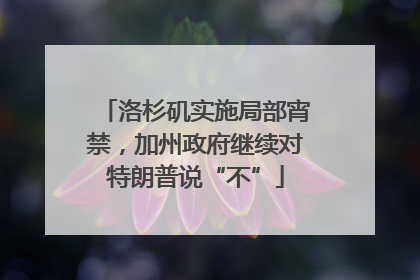 洛杉矶实施局部宵禁，加州政府继续对特朗普说“不”