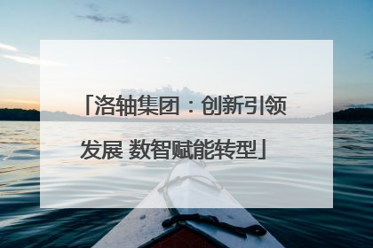 洛轴集团：创新引领发展 数智赋能转型