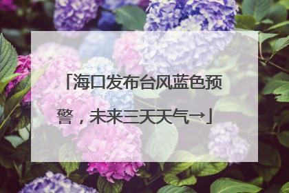 海口发布台风蓝色预警，未来三天天气→