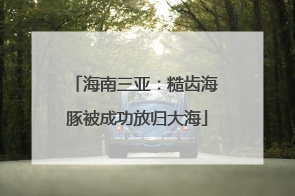 海南三亚：糙齿海豚被成功放归大海